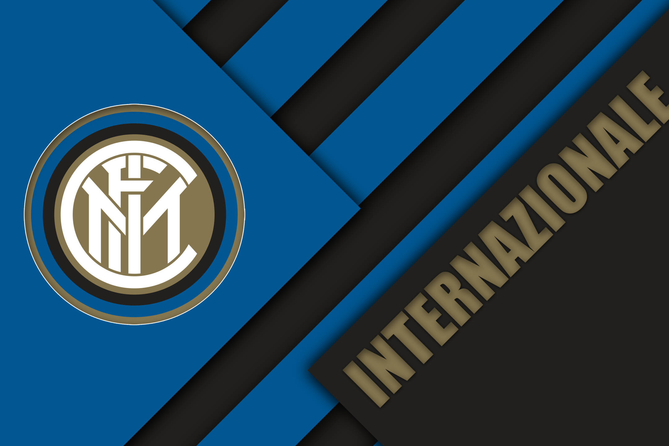 在这个背景 在这个背景