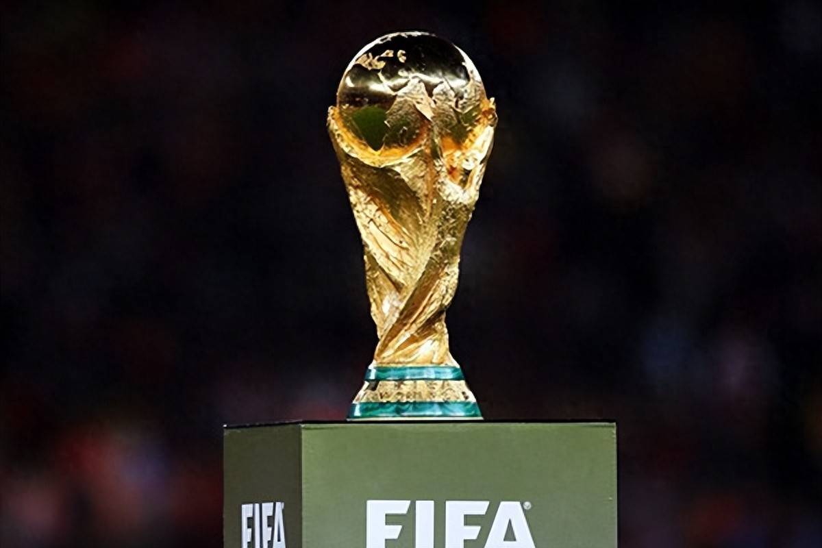 回应与改进 回应与改进